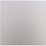 Studio - Uitschakelaar - Platina - Kunststof