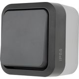 REV - Wisselschakelaar Compleet - AquaStorm - Lichtgrijs, Zwart - 1 stuk