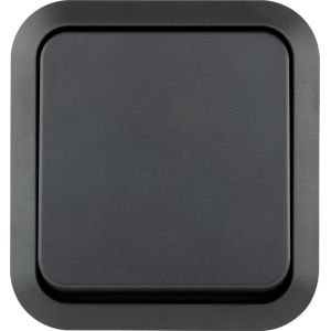 REV AquaStorm Wisselschakelaar voor vochtige ruimtes IP55, opbouw, 230 V, 10 A, antraciet