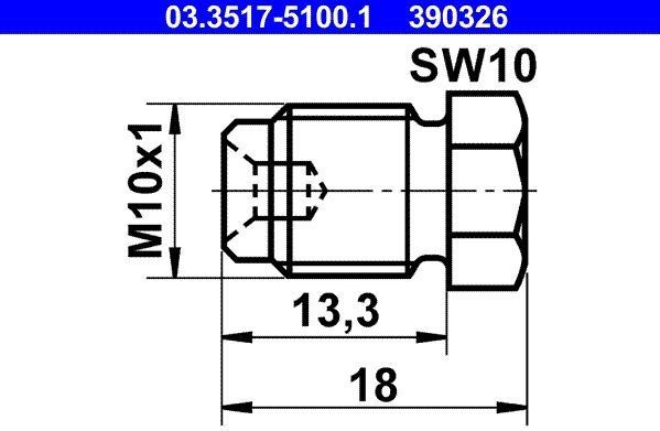 ATE - Afsluitschroef - M10x1 - Voor Hoofdremcilinder - Voor Voertuigen Zonder ABS