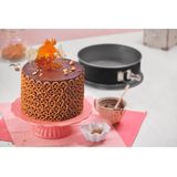 Kaiser Inspiration Springvorm 24