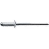 Gesipa Blindklinknagel | klinknagelschacht d x l 3 x 6 mm | staal / staal | 500 stuks - 1433551 1433551