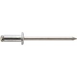 Gesipa Blindklinknagel | klinknagelschacht d x l 5 x 20 mm | RVS | 250 stuks - 1433646 1433646