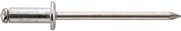 Gesipa Blindklinknagel | klinknagelschacht d x l 5 x 20 mm | RVS | 250 stuks - 1433646 1433646