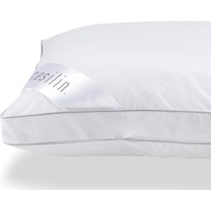 Casilin Classic Hoofdkussen- 60x60cm - Stevige ondersteuning