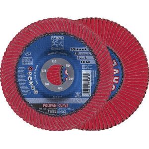 Fächerschleifscheibe co-sgp-curve l 125mm K60 Pferd