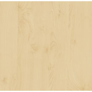 d-c-fix Plakfolie berkenhout-look, waterdichte zelfklevende folie, realistische decoratie voor meubels, tafel, kast, deur, keukenfronten, behang, 45 cm x 2 m