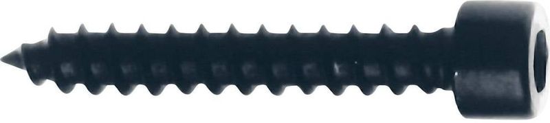 Visaton - Houtschroeven - Zwart - 4 x 25 mm - 24 Stuks