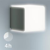 Steinel Buitenlamp L 830 SC, antraciet, LED-wandlamp, 160° bewegingsmelder, koppelbaar, via app bedienbaar, UV-bestendig kunststof, 9,5 W