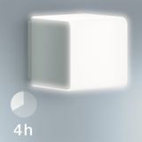 Steinel Cube-buitenlamp met sensor L 830 SC, 9,1 W, 523 lm, iHF-sensor, registratiehoek: 160°, reikwijdte: 1-5 m, bluetooth, LED-module, IP44, zilver