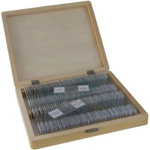 Bresser duurzame producten voor microscoop (100 stuks), geprefabriceerde en geconserveerde producten in een mooie houten doos