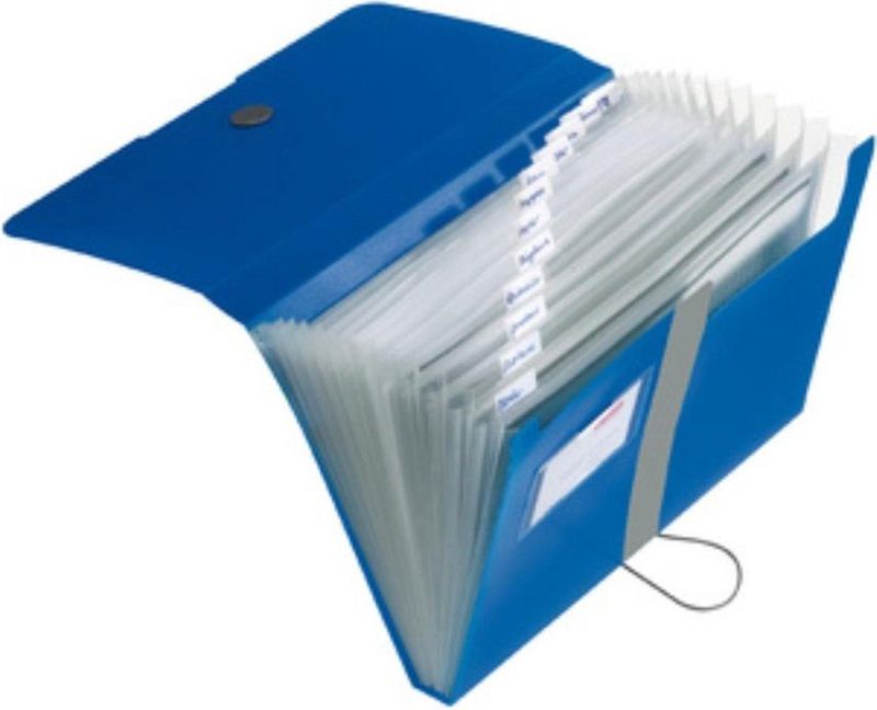 Herlitz Fächermappe A4 PP 12 Fächer schwarz to go