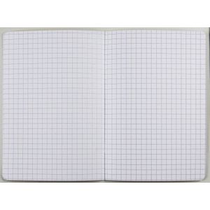 herlitz Schulheft x.book Lineatur 7 kariert DIN A5 ohne Rand, 16 Blatt