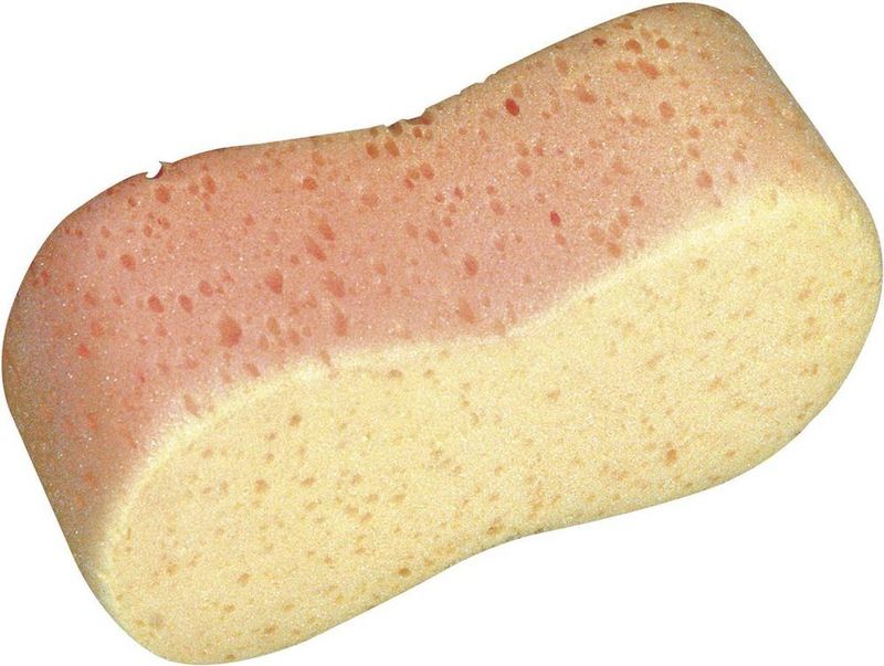 Spons - Getailleerd - Blauw - Kunststof