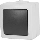 Nautic Wisselschakelaar - Opbouw - IP44 - Antraciet / Wit