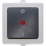 Nautic Wipcontroleschakelaar - 2-polig - Spatwaterdicht - Antraciet/Wit