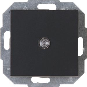 Kopp Athenis 587665089 Universele schakelaar (uit-/wisselschakelaar), verlicht, antraciet