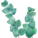 6x Kneipp Badolie Refreshing Eucalyptus 100 ml