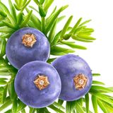 Kneipp - Badkristallen - Jeneverbes - Etherische Oliën - Thermaal Zout