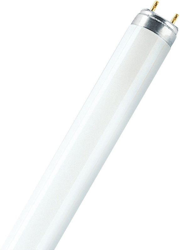 Osram - G13 T8 TL-buis - 18W - 8000K - 1200lm - 600mm