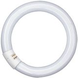 LUMILUX - T9 C - Lamp - Wit - 22W - G10Q Fitting