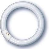 Osram - Lumilux® Circular Compact Fluor T9 - Lamp - 22W - 6500K - 1300lm