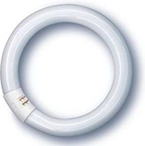 Osram - Lumilux® Circular Compact Fluor T9 - Lamp - 22W - 6500K - 1300lm