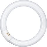 Osram - Leuchtstofflampe - Wit - G10q Fitting - 32W - Lichtkleur 840
