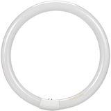 Osram - Lumilux T9 32W Sockel G10Q 4000K dimmbar