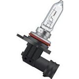 Gloeilamp - Halogeen - 55W - 12V - Bundeltype Doos