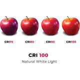 Osram - Halogeen Staaflamp - R7s - Warm Wit - 80W - 2900K - 230V