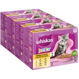 28% korting! Gemengd Pakket Whiskas Junior Maaltijdzakjes 12 x 85 g - Junior Maaltijdzakjes Gevogelte-selectie in gelei (12 x 85g)