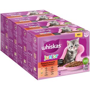 Jumbopack Whiskas Junior Frischebeutel 96 x 85 g - Klassische Auswahl in Sauce