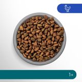 Perfect Fit Droogvoer Steriel Kip 750 gr