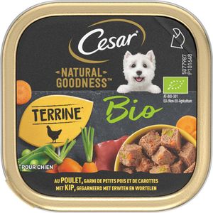 Cesar