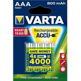 Varta - RECH.AC.Power AAA800mAh BLI4 Micro (AAA)-Akku NiMH 800 mAh 1.2 v 4 St.