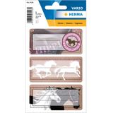 Schuletiketten 76x35mm Pferde beglimmert VE=9 St&#252;ck