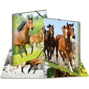 Elastomappen A3 PP - Paarden [3x]