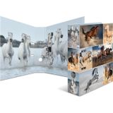 HERMA Animals Hefboomrecorder met dierenringen in A4-motief, rug 7 cm, karton, kleuren
