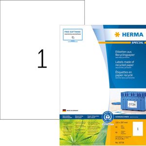 HERMA 10738 Lot de 80 feuilles d'étiquettes recyclées 210 x 297 mm, 1 par feuille A4, 80 étiquettes autocollantes imprimables, mates, vierges en papier recyclé, blanc naturel