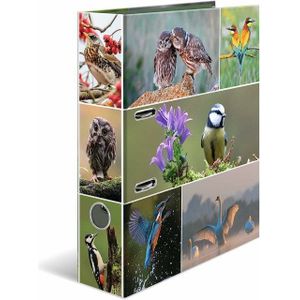 HERMA Motiv-Ordner A4 Animals Heimatvögel, A4, Halteöse, Lagerung, Karton, Mehrfarbig, 7 cm
