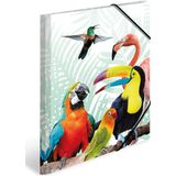 HERMA Tropical clique Polypropyleen (PP) Meerkleurig A4