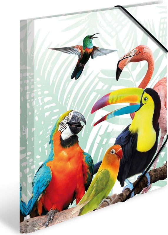 HERMA Tropical clique Polypropyleen (PP) Meerkleurig A4