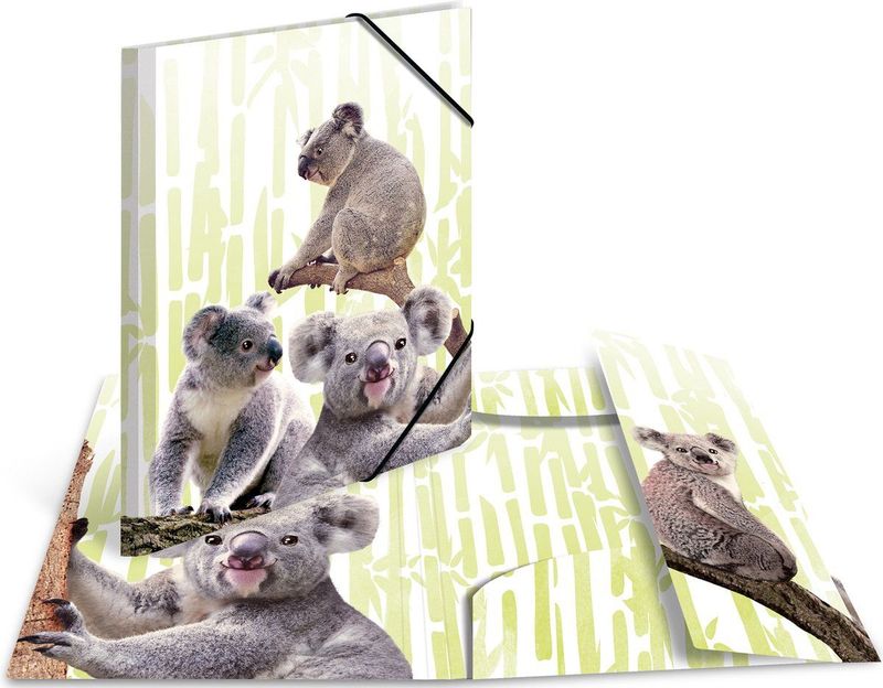 Sammelmappe A3 PP Koalafamilie