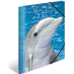 HERMA mappen A4 dolfijnen set, 3-delig, kinderhoekmappen van kunststof met dierenmotief, elastische band, binnenkleppen en binnenprint voor jongens en meisjes