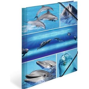 HERMA mappen A4 dolfijnen set, 3-delig, kinderhoekmappen van karton met dierenmotief, elastische band, binnenkleppen en binnenprint voor jongens en meisjes