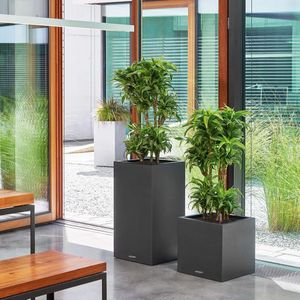 LECHUZA CANTO STONE High 40 - Plantenbak - met uitneembare binnenbak - met bewateringssysteem - ALL-IN-ONE set met LECHUZA-PON - grafietzwart