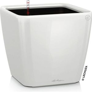Lechuza Premium Classico Ls, bloempot voor binnen, geïntegreerd waterreservoir, espresso, Ø 21 x 21 x 20 cm