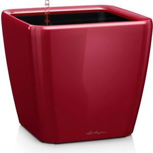 Lechuza Quadro premium 43 LS Scharlakenrood hoogglans