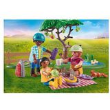 Playmobil Country Picknick-tocht met Paarden 71239